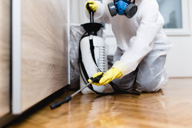 Best Pest Prevention Services  in Red Lodge, MT