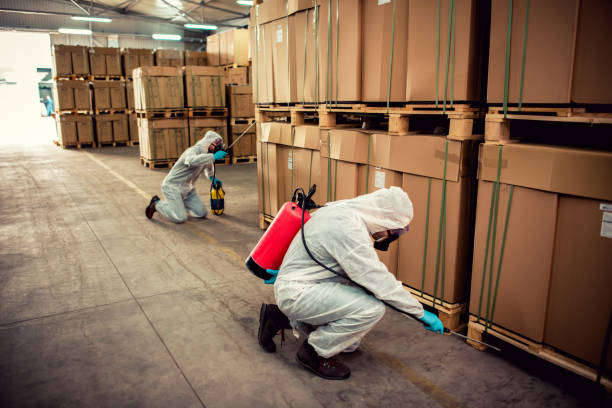 Best Best Pest Control Companies  in Red Lodge, MT