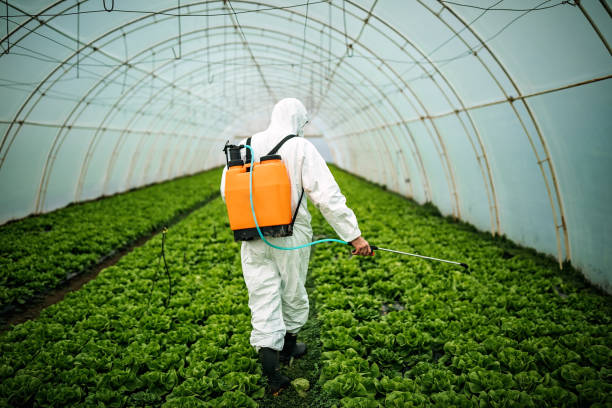 Best Emergency Pest Control  in Red Lodge, MT