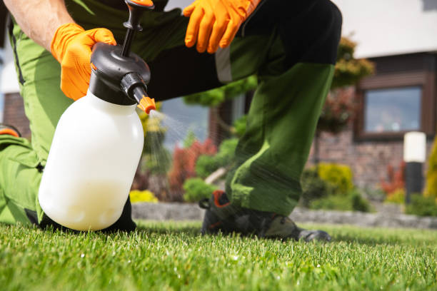 Best Wasp Removal Services  in Red Lodge, MT