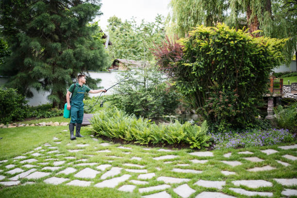 Best Residential Pest Control  in Red Lodge, MT