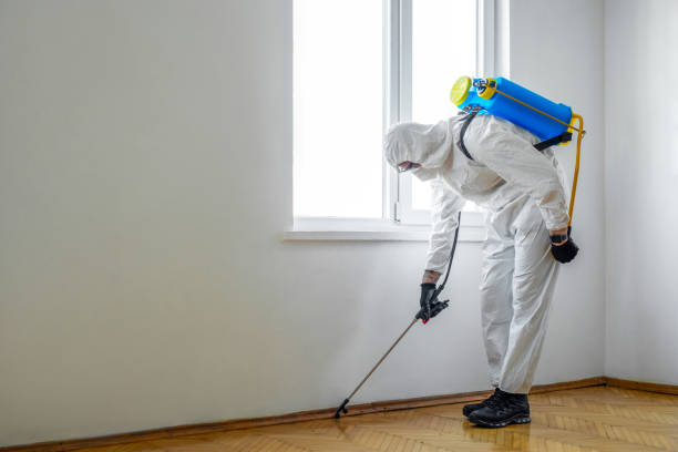 Best Local Pest Control Services  in Red Lodge, MT