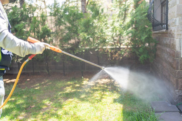 Best Bed Bug Extermination  in Red Lodge, MT