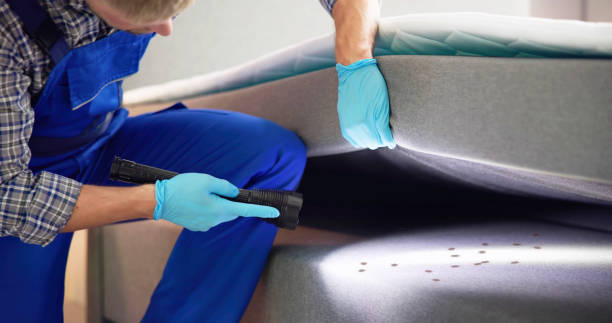Best Flea Control Services  in Red Lodge, MT