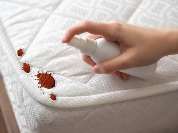 Best Pest Control Near Me  in Red Lodge, MT
