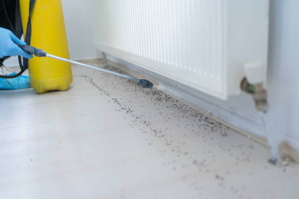 Best Bed Bug Extermination  in Red Lodge, MT