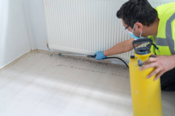 Best Local Pest Control Services  in Red Lodge, MT