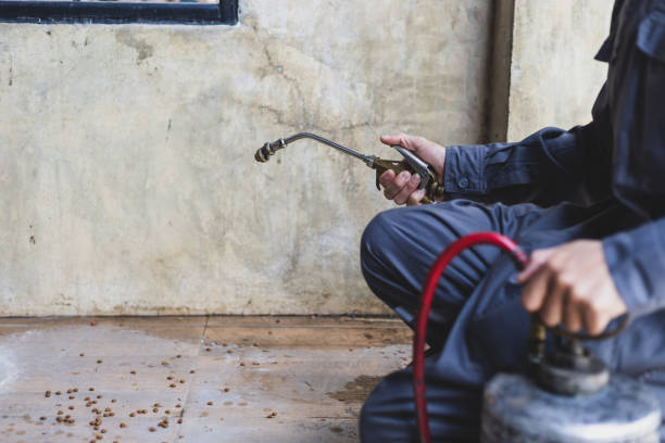 Best Commercial Pest Control Services  in Red Lodge, MT