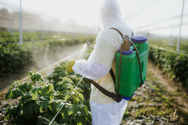 Best Pest Control Near Me  in Red Lodge, MT